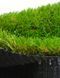 Искусственная трава Prettie Grass Magnolia 26 (4м ширина) 351 фото 11