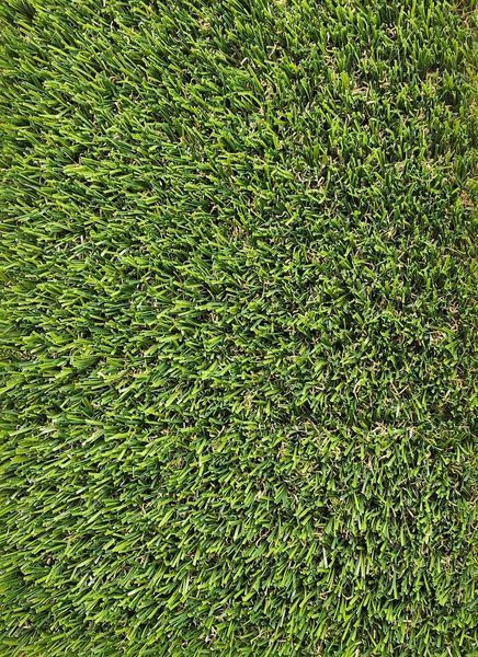 Искусственная трава Prettie Grass Galicia 20 216 фото