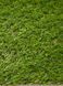 Штучна трава Landgrass 20 120 фото 5