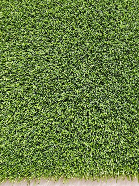 Штучна трава Congrass Colorturf зелена 222 фото