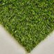 Штучна трава Turfgrass Alvira 174 фото 1
