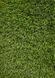Штучна трава Turfgrass Yadira 177 фото 2