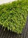 Штучна трава Turfgrass Yadira 177 фото 7