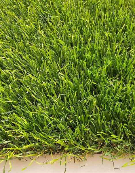 Штучна трава Turfgrass Yacina 180 фото