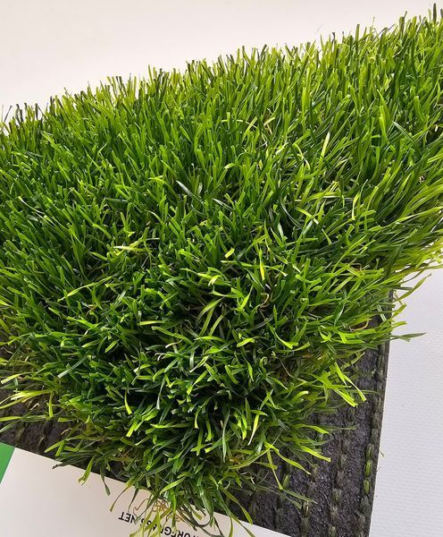 Штучна трава Turfgrass Yacina 180 фото
