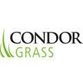 Condor Grass